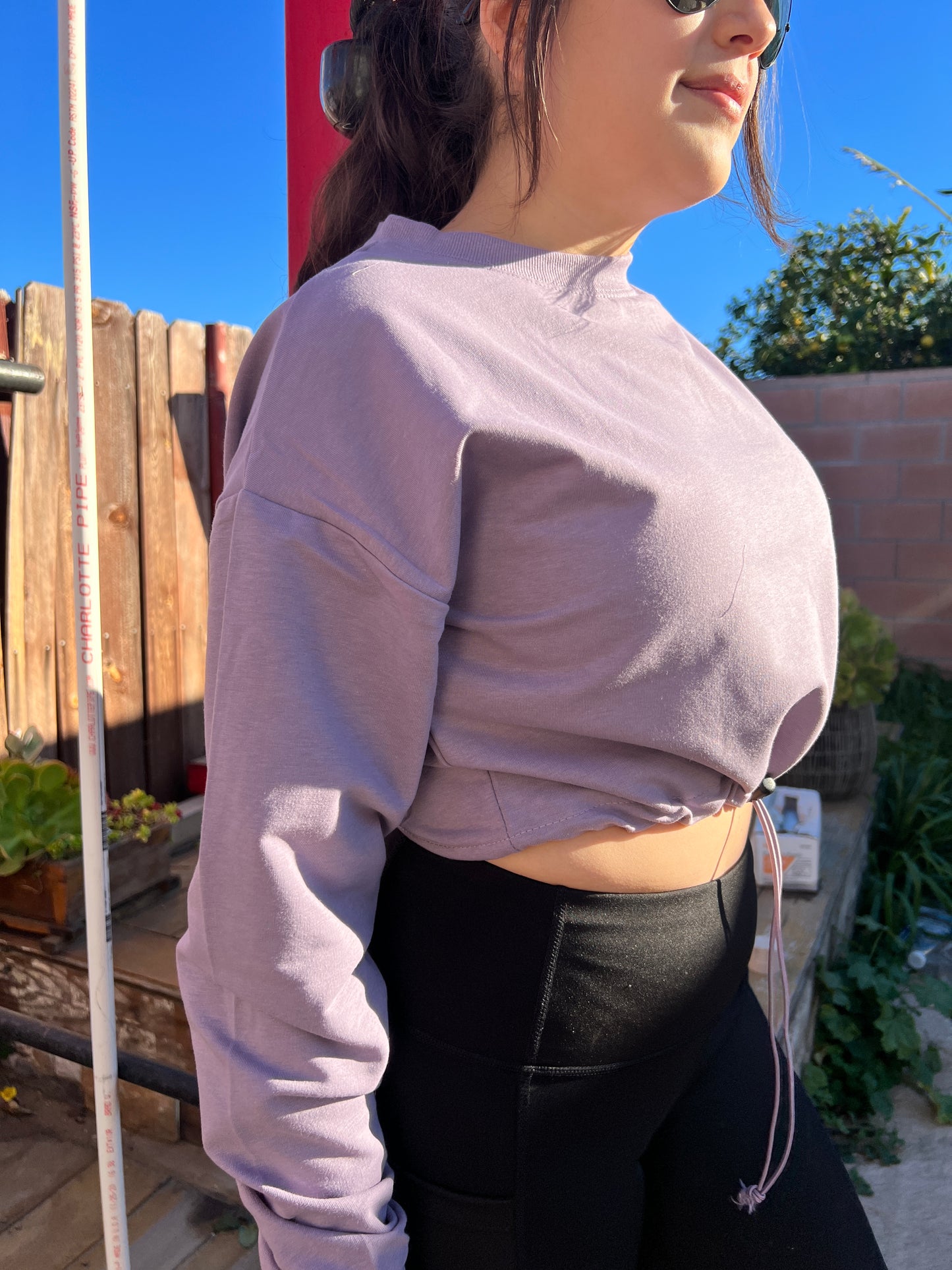 Terry Drawstring Cropped Sweatshirt (Grey and Purple)